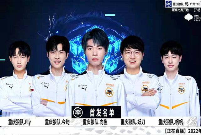 赛的职业球